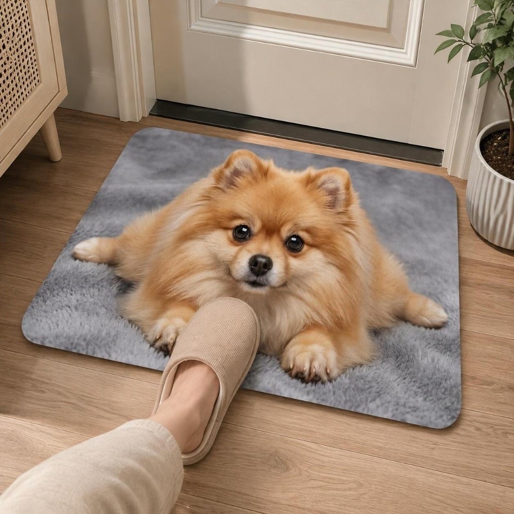 Langlebige Diatomeenerde-Hunde – Quick Dry Diatomite Bath Mat Bewertung und Preis